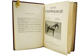 J. Jacoulet & C. Chomel - Traité dHippologie - 1912