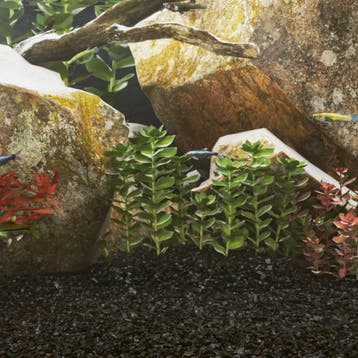 vidaXL Aquariumzand 10 kg 0,2-2 mm zwart, Dieren en Toebehoren, Verzenden, Nieuw