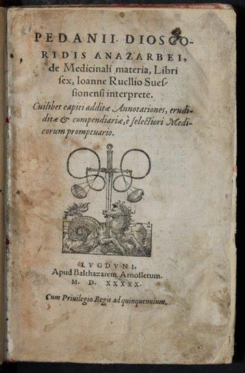Pedanii Dioscorides - Kräuterbuch, De medicinali materia