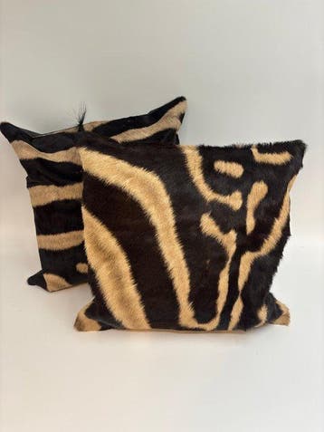 Zèbre Peau d’étude - Equus quagga - 40 cm - 40 cm - 1 cm -, Antiquités & Art