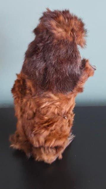 Roullet et Decamps - Blikken speelgoed - Clockwork Brown