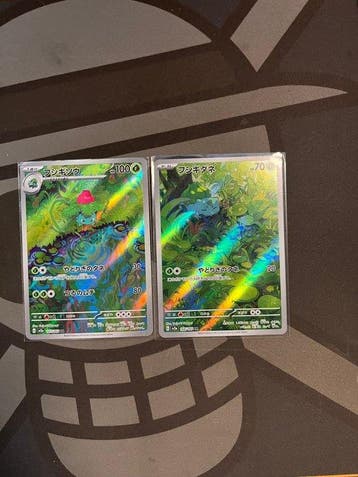 Pokémon - 2 Card -  Foil, Full art