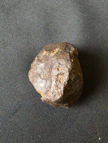 météorite Météorite de Chondrite - 30 g