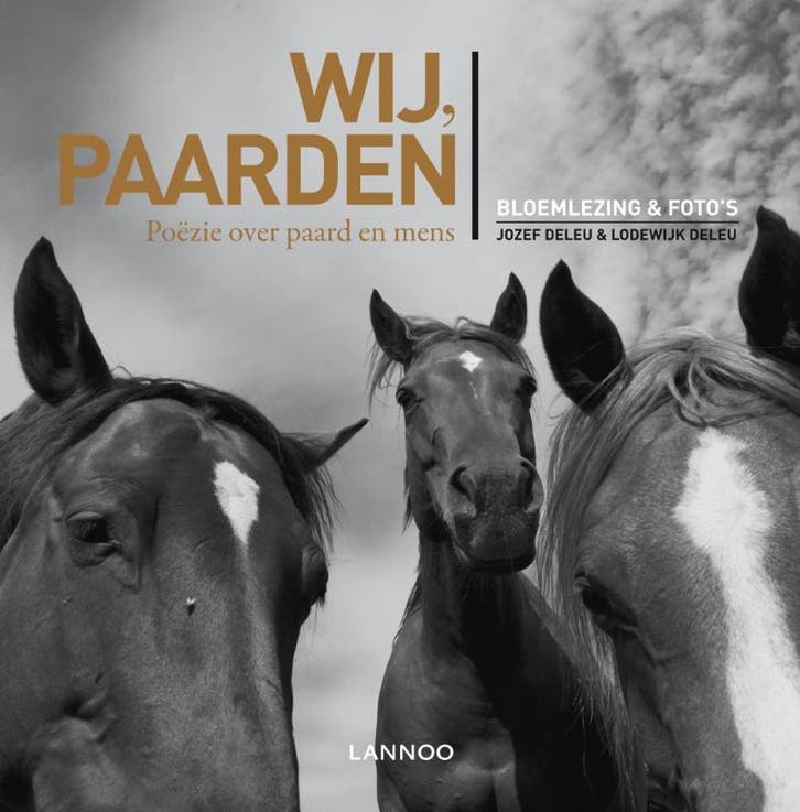 Wij, paarden 9789020995657 Jozef Deleu, Boeken, Literatuur, Zo goed als nieuw, Verzenden