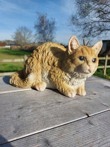 Beeld, garden statue cat - 17 cm - polyresin