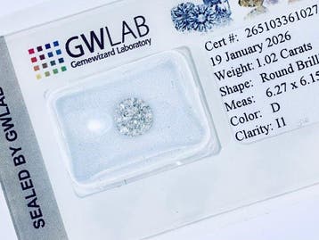 Zonder minimumprijs - 1 pcs Diamant (Natuurlijk) - 1.02 ct -, Nieuw