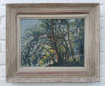 André Gillet (1926) - Bomen in de zon - Cote dAzur?