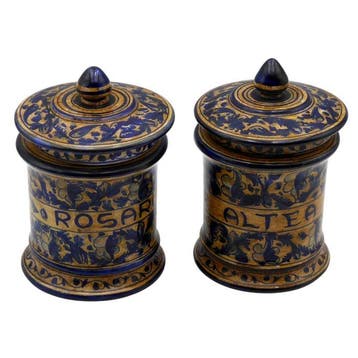 Themacollectie - 2x apothekersalbarellen Model Rosarum &