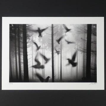 Frank Machalowski - tierwald#16, Antiek en Kunst