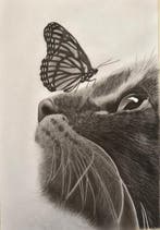 mostafa - Cat