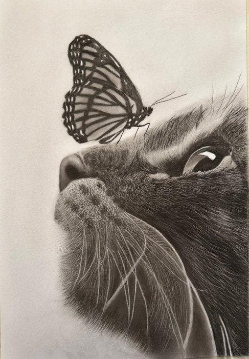 mostafa - Cat, Antiek en Kunst, Kunst | Designobjecten