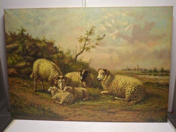 Willekens (XX) - Rustende schapen