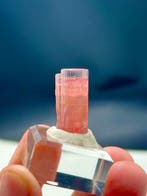 Tourmaline rose Cristal - Hauteur : 26 mm - Largeur : 13 mm-