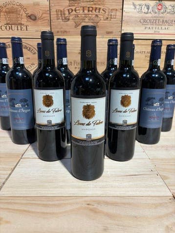 2017 Château Lion de Fabre en Margaux et Château d’Argan -, Verzamelen, Nieuw