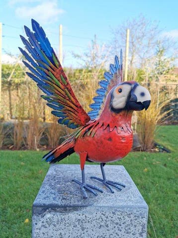 Papegaai - Beeldje - Parrot - Metaal, IJzer