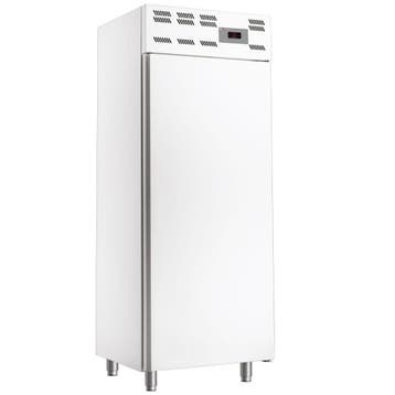 Vrieskast , 20x EN 600x400, statisch, (500 Lit.) - Skinplate, Verzenden