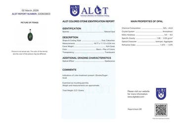 Geen reserve - ALGT gecertificeerd - Zeer exclusieve, Verzamelen