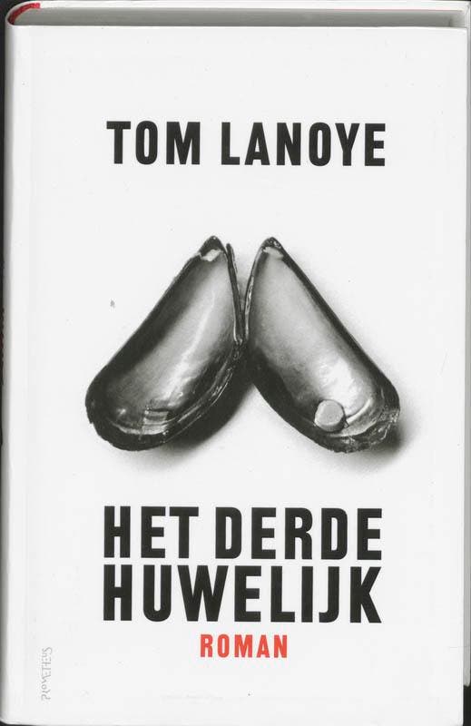 Het derde huwelijk 9789044608137 Tom Lanoye, Boeken, Romans, Gelezen, Verzenden