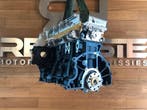 Revisie motor Land Rover Defender 244DT, Gereviseerd, Land Rover