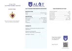 Zonder minimumprijs - Hanger Zilver - Ruby - Gecertificeerd
