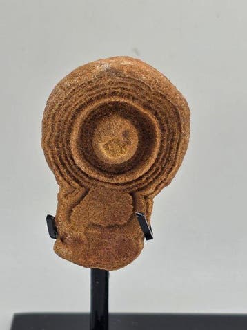 Gefossiliseerd dier - Lot of 3 stromatolites (Zonder