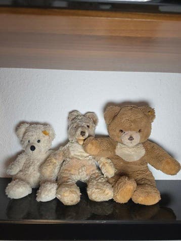 Steiff - Teddybeer Fynn,Zotty,Pesty - 1950-1960 - Duitsland, Antiek en Kunst