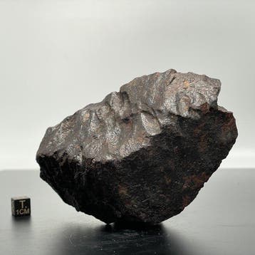 Météorite fabuleuse avec de profondes régmaglyptes flûtés.