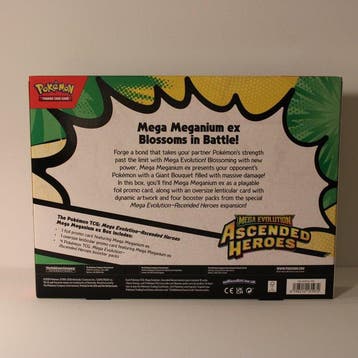 Pokémon - 1 Box - Ascended Heroes Mega Meganium Ex box