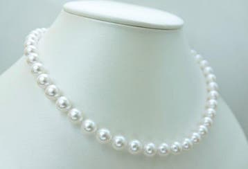 Halsketting Zilver Parel - Akoya Parel Rond 8-8,5 mm, Nieuw