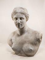 Sculpture, Mezzobusto Venere di Milo - 28 cm - Plâtre - 2026