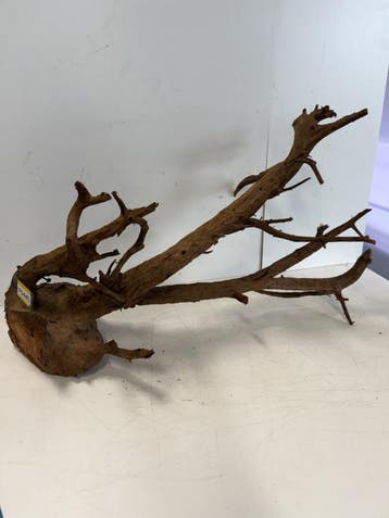 Fine Sinking Wood Selected  FS445  95X55X47cm, Ophalen of Verzenden, Plant(en), Steen of Hout