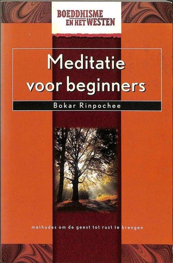 MEDITATIE VOOR BEGINNERS 9789038906959 R. Bokar, Verzenden, Zo goed als nieuw, R. Bokar