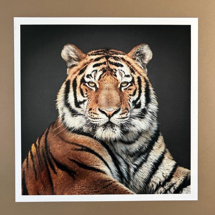 Ralph Hargarten - Tiger, Antiek en Kunst, Kunst | Designobjecten