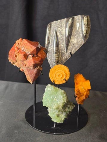 Gefossiliseerd dier - Vanadinite, Prehnite & Red Quartz with