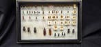 French antique Beetles ex BEON Yvonne collection - circa, Nieuw