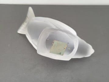 Lalique - Beeldje - Moineau Coquet - Kristal