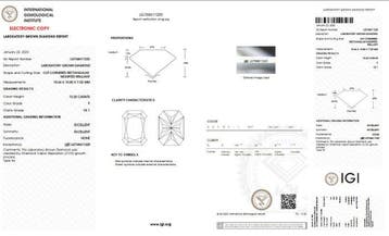 Ring - 14 karaat Witgoud - 10.30ct. tw. Diamant (Lab-grown), Nieuw