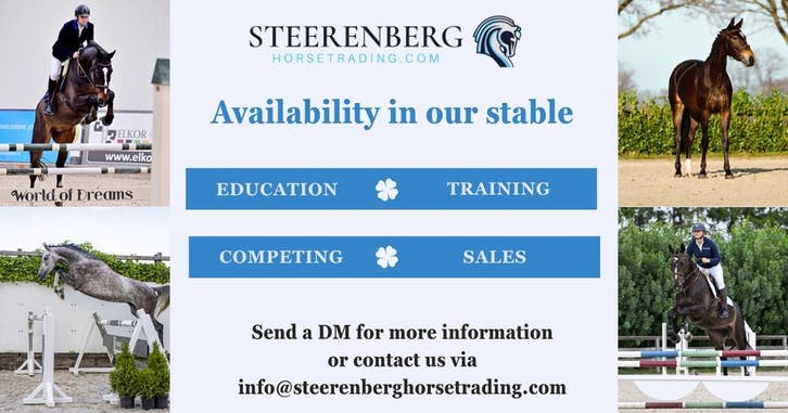 Enkele trainingsplekken beschikbaar voor springpaarden, Diensten en Vakmensen, Dieren | Paarden | Verzorging, Oppas en Dressuur