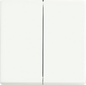ABB Busch-Jaeger Control Element/Central Plate Switchgear -, Doe-het-zelf en Bouw, Verzenden, Nieuw
