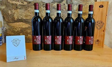 2023 Paolo Magi, Vion Merlot Cortona - Toscane - 6