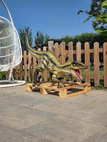 Beeld, XL Realistic Velociraptor Dinosaur - 98 cm - mgo -