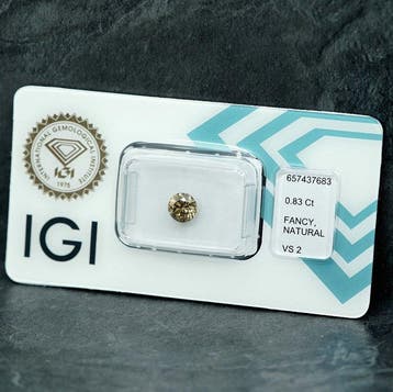 1 pcs Diamant (Couleur naturelle) - 0.83 ct - Rond - Fancy, Nieuw