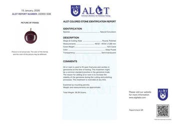 Geen Reserve - ALGT-gecertificeerd - Grote en Zeer