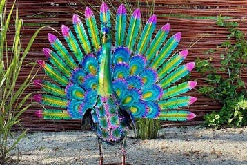 Steel Peacock - Figurine - Acier, Antiek en Kunst