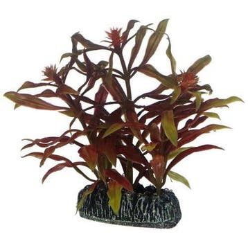 Osaka aquarium kunst plant Nesaea 13cm art. 570, Ophalen of Verzenden, Nieuw, Plant(en), Steen of Hout