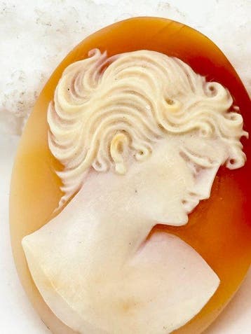 Cassis rufa zonder reserveprijs - Cameo - Handgesneden camee
