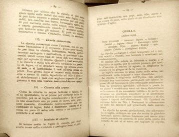 Ingegnoli Fratelli. - 600 Modi di Cucinare gli Ortaggi. -