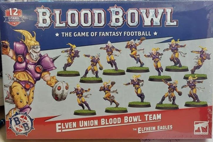 Warhammer Elven Union Blood Bowl Team (Warhammer nieuw), Hobby en Vrije tijd, Wargaming, Ophalen of Verzenden