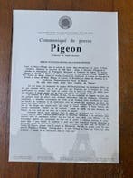 Tintin - JM Pigeon - Sculpteur de la bande dessinée - C +, Nieuw
