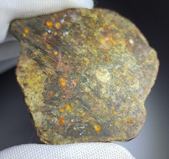 Authentiek fragment van asteroïde 4 Vesta – Bechar 008, Verzamelen, Mineralen en Fossielen